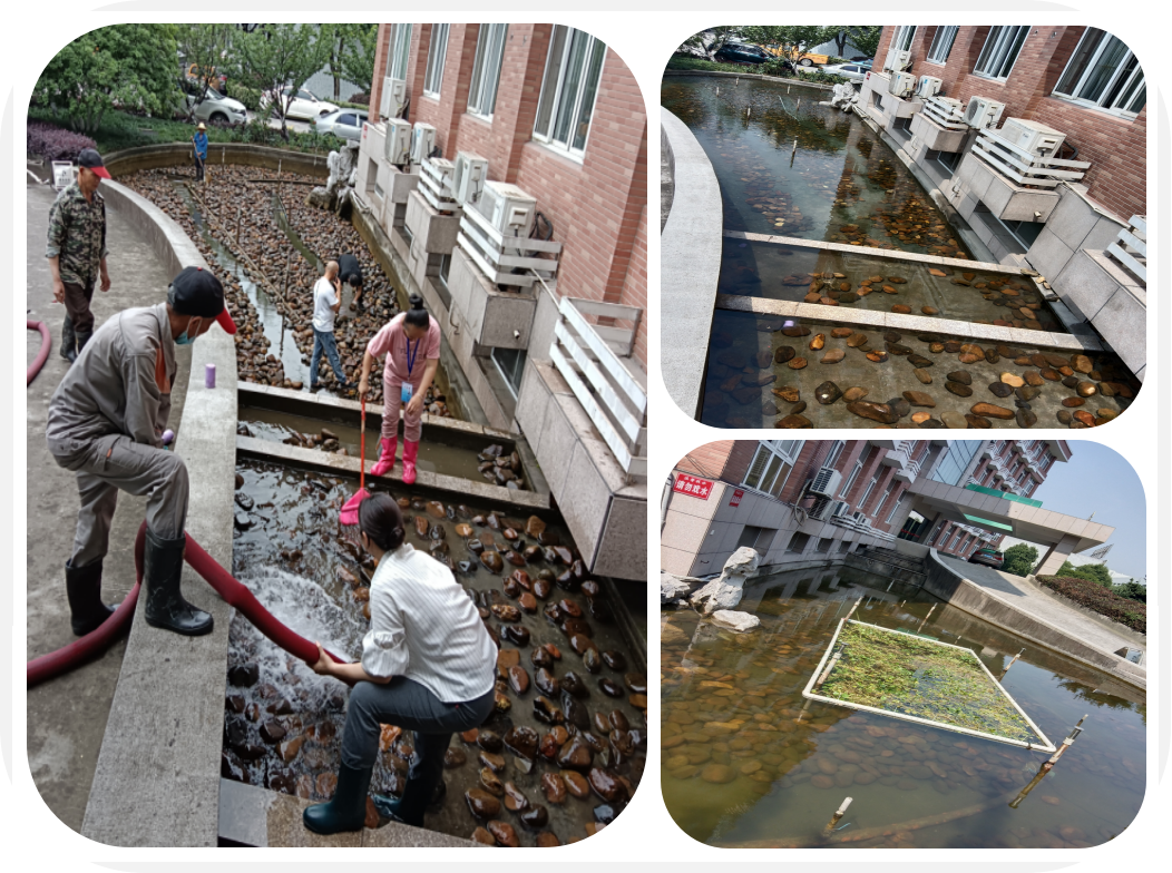 ��Ȼһ����԰�����۳�ӭ������ϴ֮�ա�