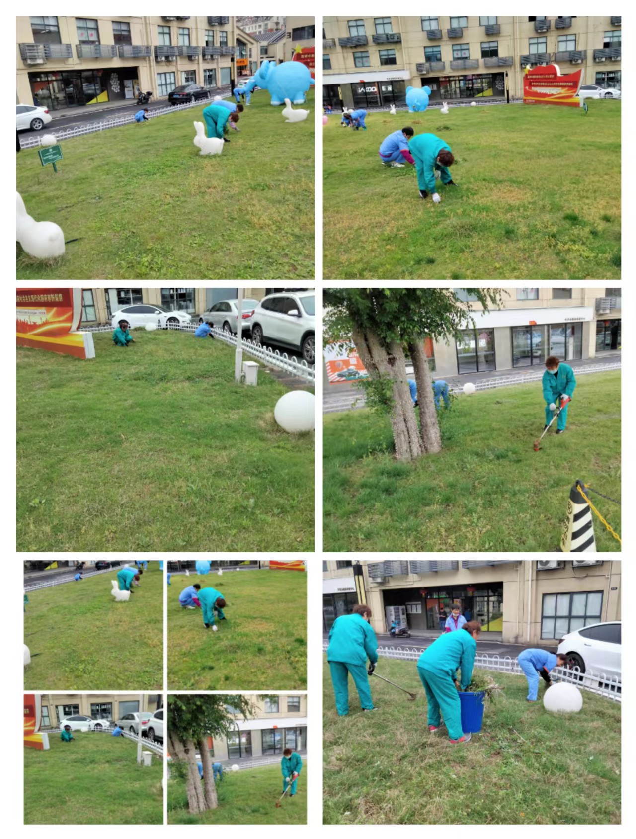 ®���������ǲ������Ĵ�԰��չ�̻���������