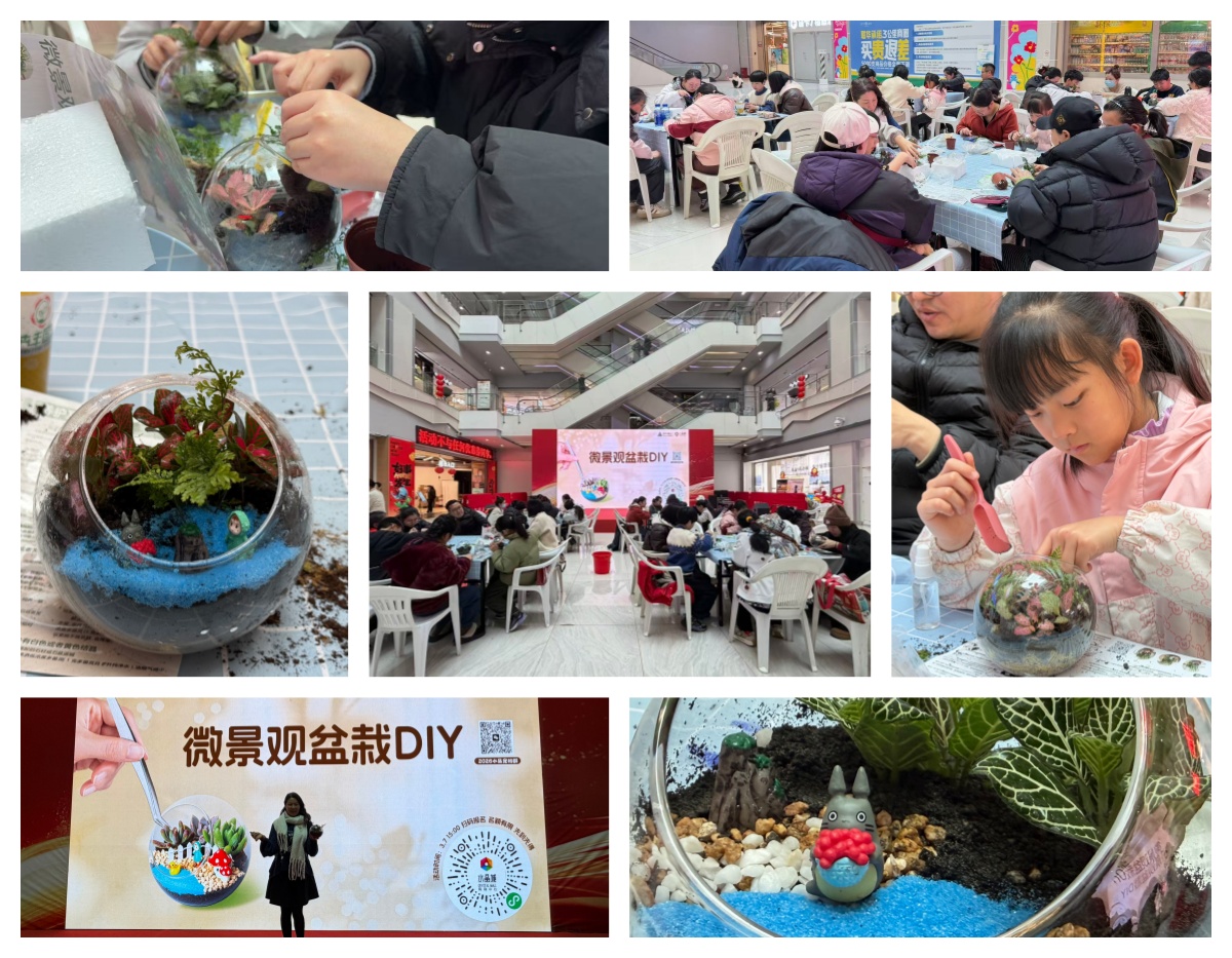 巧手造微景，指尖绽春意——水晶城微景观盆栽 DIY 活动圆满进行